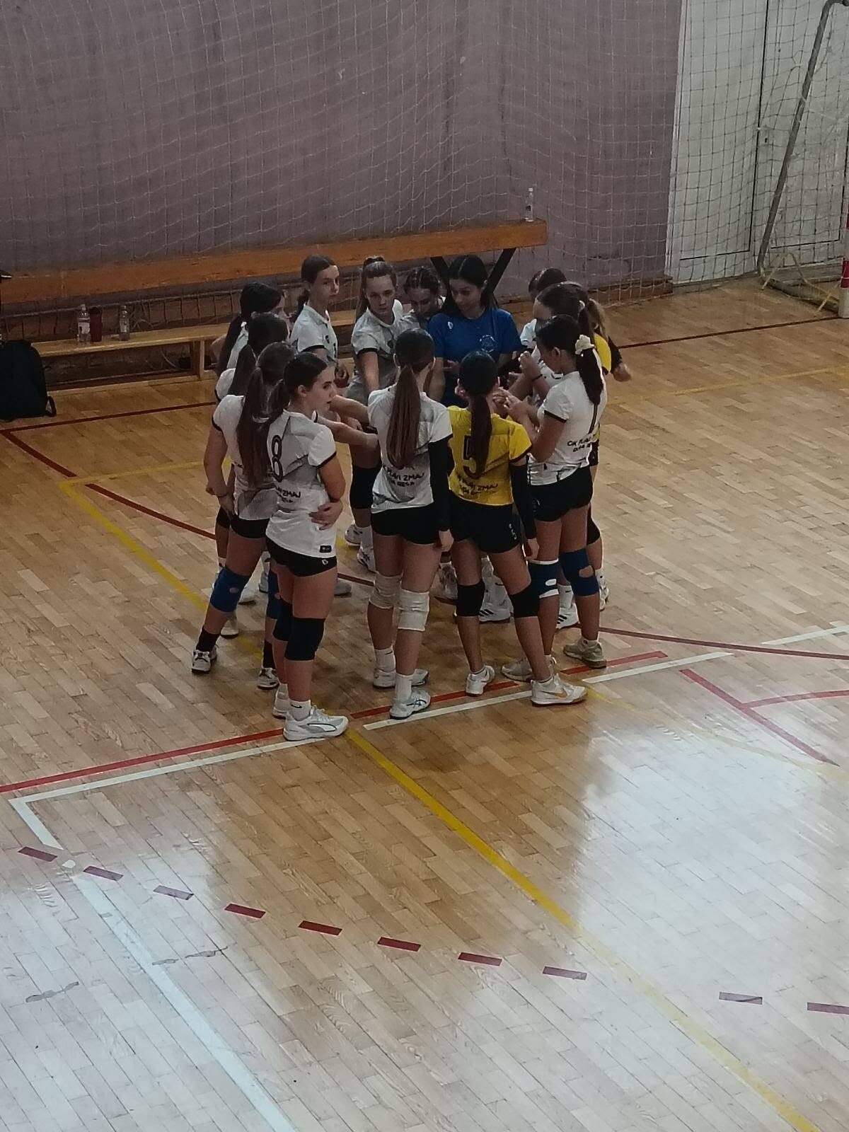 Squad photo of players in blue and white kits in front of the net
